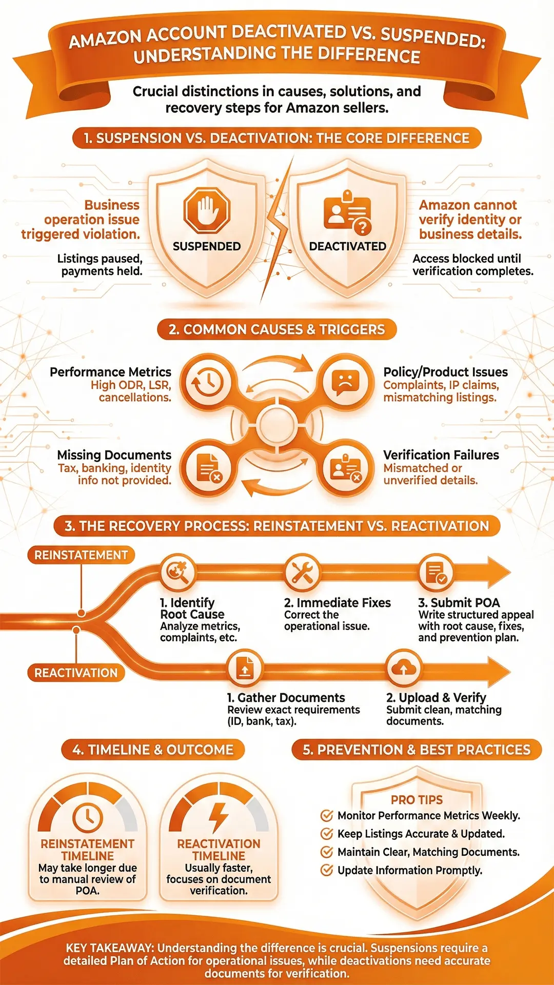 Infographic for Amazon Account Deactivated vs Suspended
