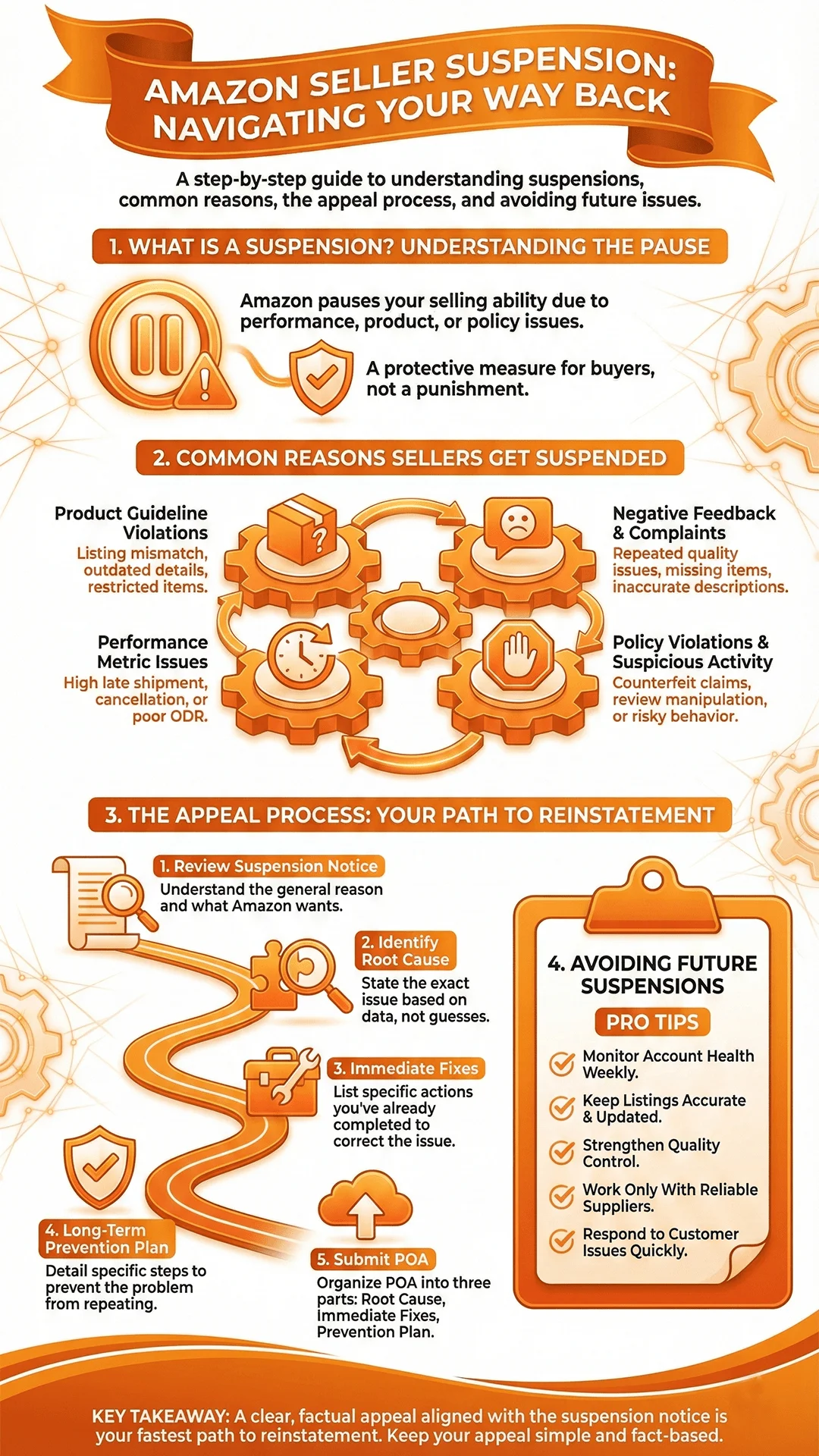 Infographic for Amazon Seller Suspension
